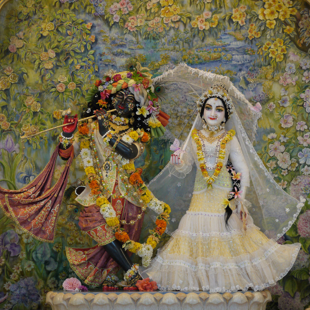 Radhastami na Ecovila Vraja Dhama :: Hare Krisnha